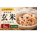 玄米 4回定期便 令和8年産 こしひかり 20kg