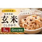 玄米 6回定期便 令和8年産 こしひかり 30kg