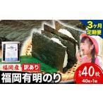 肉 3ヶ月定期便 有明海苔 全型 40枚