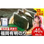 肉 12ヶ月定期便 有明海苔 全型 40枚