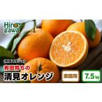 有田 育ちのご 完熟 清見 オレンジ 7.5kg+200g
