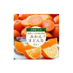 果物類 みかん 発送月固定定期便 愛媛の2品種を堪能 みかんまどんな食べ比べ