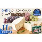 加工品等 チーズ カマンベールチーズ 2個