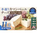 加工品等 チーズ カマンベールチーズ 4個