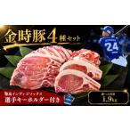 ご当地キャラクター 徳島 インディゴソックス