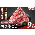 豚肉 K-429-H 12回定期便 訳あり