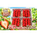 いちご 栃木の新定番 とちあいか 1 120g
