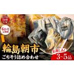 干物 定期便 6か月 輪島朝市からごちそう詰め合わせセット