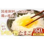 飼料にこだわった鶏が産む安全安心のレモン色たまご 60玉