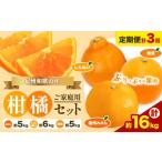 果物類 みかん 発送月固定定期便 紀州 和歌山産
