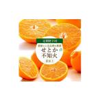 みかん 柑橘類 デコポン 発送月固定定期便 愛媛の2品種を堪能 せとか 不知火食べ比べ