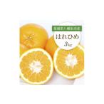 みかん 柑橘類 先行受付 はれひめ3kg C25-206