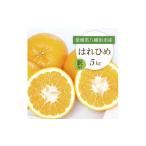 みかん 柑橘類 先行受付 はれひめ5kg 訳あり
