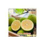 紀州和歌山 有田レモン 1kg