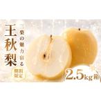 梨 たにがみ農園の王秋 2.5キロ箱 果物