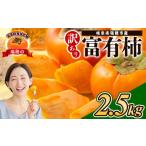 ふるさと納税 果物類 柿 岐阜県 瑞穂市  先行予約 岐阜県瑞穂市産 訳あり富有柿 2.5kg｜富有柿 柿 ふゆうがき かき カキ 訳アリ わけあり ワケあり 旬 フルー…