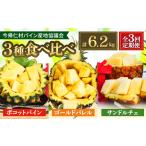 果物類 発送月固定定期便 2027年発送