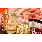 菓子 煎餅 豪華 食べ比べ 9種