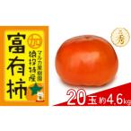 果物類 柿 先行受付 富有柿 約4.6kg