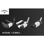 ゴルフ オデッセイ Ai-DUAL 1 2-Ball