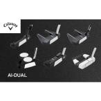ゴルフ オデッセイ Ai-DUAL Putter