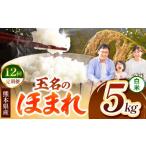 米 ブレンド 定期便12回 R7年産 玉名のほまれ 5kg