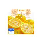 みかん 柑橘類 先行受付 ご 媛小春 7kg