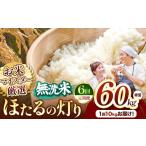 米 定期便6回 R7年産 ほたるの灯り 無洗米 10kg