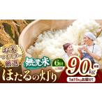 米 定期便6回 R7年産 ほたるの灯り 無洗米 15kg