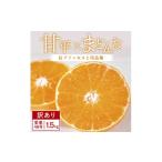 みかん 柑橘類 先行受付 訳あり 甘平×まどんな1.5kg