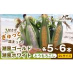 とうもろこし 食べ比べセット 1セット
