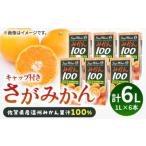 果汁飲料 みかん 果汁100% さがみかん 1L×6本