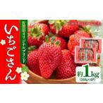 いちご いちごさん 約1kg
