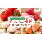 いちご 全4回定期便 希少いちご 恋みのり パールホワイト 淡雪 冷凍いちご 食べ比べ定期便