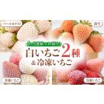いちご 全5回定期便 白いちご2種と冷凍いちご