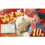 惣菜 レトルト 冷凍 業務用 いかしゅうまい