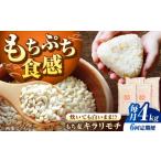 雑穀 全6回定期便 もち麦 キラリモチ 4kg