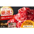 牛肉 佐賀牛切り落とし 計750g