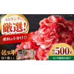 牛肉 全6回定期便 佐賀牛切り落とし 計3kg