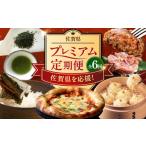 牛肉 ハンバーグ 全6回定期便 プレミアム定期便