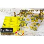 ケーキ カステラ レモンケーキ 10個入り