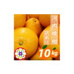 みかん 柑橘類 先行受付 愛咲果樹園 河内晩柑