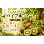 キウイフルーツ ヘイワード 特大サイズ 12玉約2kg