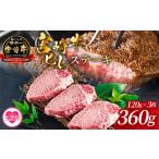 牛肉 ヒレ 宮崎牛ヒレステーキ 360g