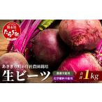 自社農園栽培 生 ビーツ 1kg