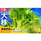 野菜類 ツバキベジムーブの野菜セット フリルレタスと何が…