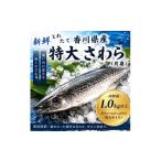 旬の鮮魚等 さわら 鰆 片身 1.0kg以上
