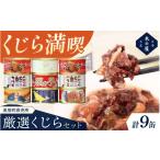 直売所厳選くじら9缶セット 缶詰 缶 セット