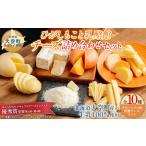 加工品等 チーズ ひがしもこと乳酪館 チーズ詰め合わせセッ…