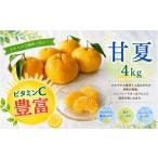 みかん 柑橘類 甘夏 秀品 4kg